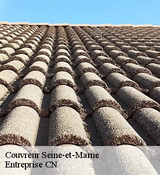 Couvreur Seine-et-Marne