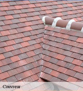 Couvreur Seine-et-Marne