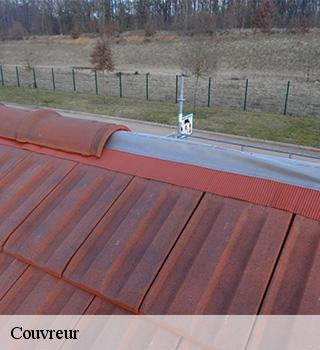 Couvreur Seine-et-Marne