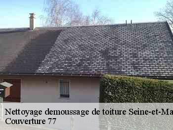 Nettoyage demoussage de toiture 77 Seine-et-Marne  Couverture 77