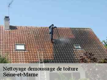 Nettoyage demoussage de toiture Seine-et-Marne 