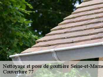 Nettoyage et pose de gouttière 77 Seine-et-Marne  Couverture 77