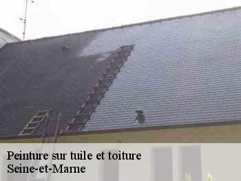 Peinture sur tuile et toiture Seine-et-Marne 