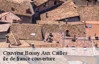 Couvreur  boissy-aux-cailles-77760 Couverture 77