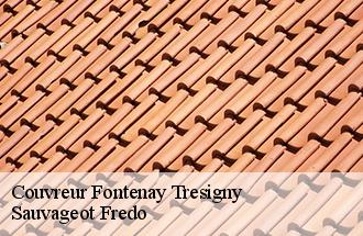 Couvreur fontenay-tresigny-77610 Sauvageot Fredo