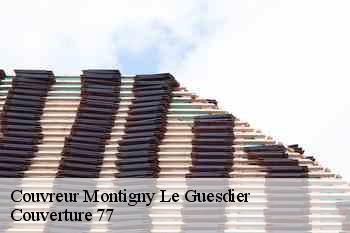 Couvreur  montigny-le-guesdier-77480 Couverture 77