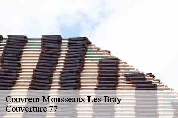 Couvreur  mousseaux-les-bray-77480 Couverture 77