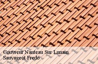 Couvreur nanteau-sur-lunain-77710 Sauvageot Fredo