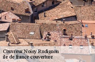 Couvreur  noisy-rudignon-77940 ile de france couverture