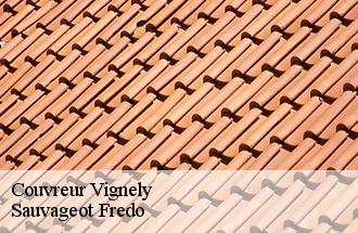 Couvreur vignely-77450 Sauvageot Fredo