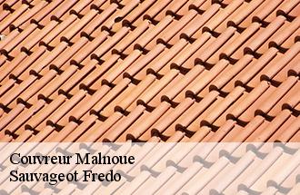 Couvreur malnoue-77184 Sauvageot Fredo