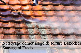 Nettoyage demoussage de toiture  bazoches-les-bray-77118 ile de france couverture