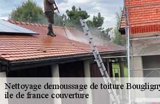 Nettoyage demoussage de toiture  bougligny-77570 ile de france couverture