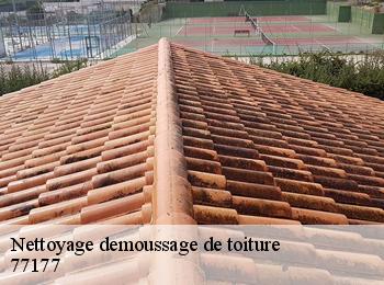 Nettoyage demoussage de toiture  77177