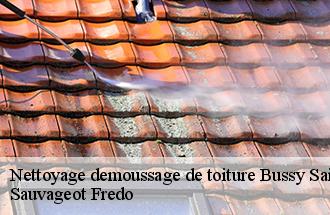 Nettoyage demoussage de toiture  bussy-saint-georges-77600 ile de france couverture