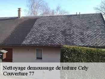 Nettoyage demoussage de toiture  cely-77930 Couverture 77