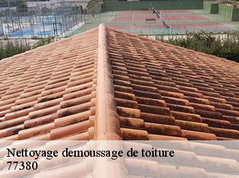 Nettoyage demoussage de toiture  77380