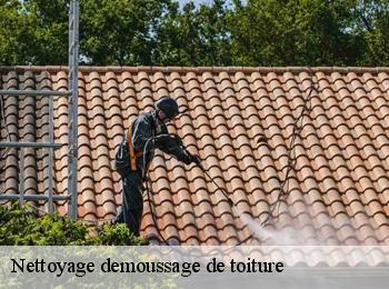 Nettoyage demoussage de toiture