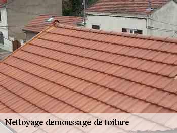 Nettoyage demoussage de toiture