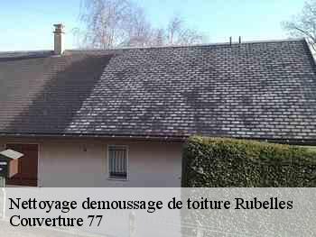 Nettoyage demoussage de toiture  rubelles-77950 Couverture 77