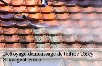 Nettoyage demoussage de toiture  torcy-77200 ile de france couverture