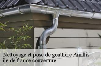 Nettoyage et pose de gouttière  amillis-77120 ile de france couverture