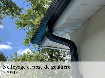 Nettoyage et pose de gouttière  77970