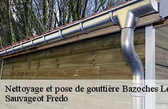 Nettoyage et pose de gouttière  bazoches-les-bray-77118 Sauvageot Fredo