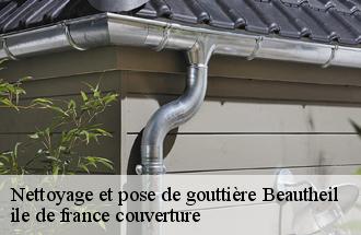 Nettoyage et pose de gouttière  beautheil-77120 ile de france couverture