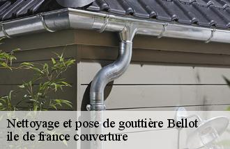 Nettoyage et pose de gouttière  bellot-77510 ile de france couverture