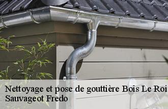 Nettoyage et pose de gouttière  bois-le-roi-77590 Sauvageot Fredo