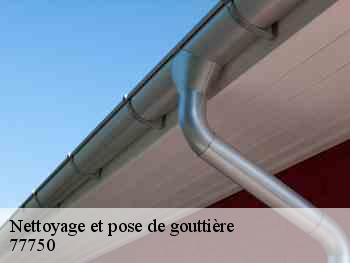 Nettoyage et pose de gouttière  77750