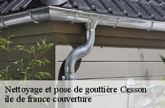 Nettoyage et pose de gouttière  cesson-77240 ile de france couverture