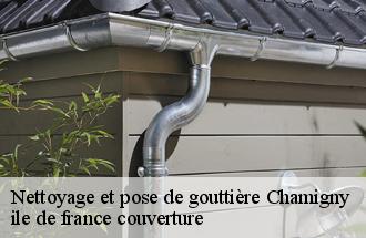 Nettoyage et pose de gouttière  chamigny-77260 ile de france couverture