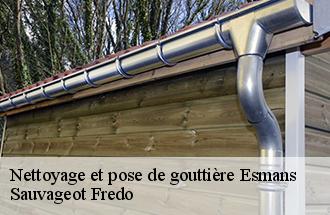 Nettoyage et pose de gouttière  esmans-77940 Sauvageot Fredo