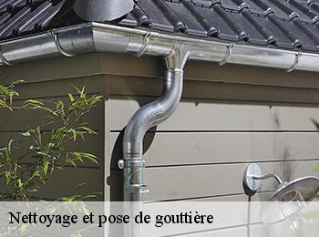 Nettoyage et pose de gouttière