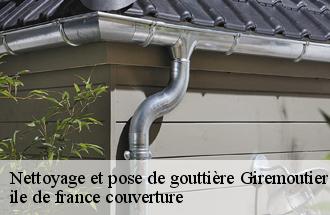 Nettoyage et pose de gouttière  giremoutiers-77120 ile de france couverture