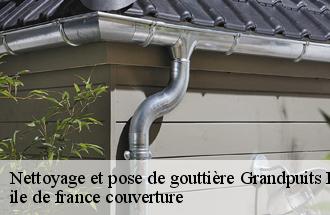 Nettoyage et pose de gouttière  grandpuits-bailly-carrois-77720 ile de france couverture