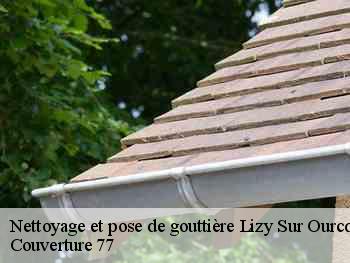 Nettoyage et pose de gouttière  lizy-sur-ourcq-77440 Couverture 77