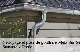 Nettoyage et pose de gouttière  melz-sur-seine-77171 ile de france couverture