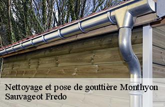 Nettoyage et pose de gouttière  monthyon-77122 Sauvageot Fredo