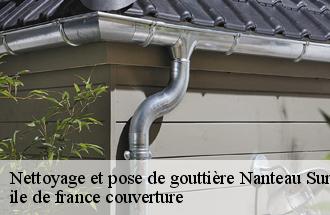 Nettoyage et pose de gouttière  nanteau-sur-essonnes-77760 ile de france couverture