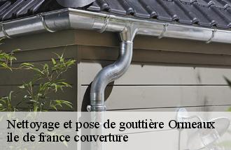 Nettoyage et pose de gouttière  ormeaux-77540 ile de france couverture