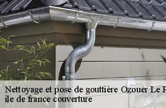 Nettoyage et pose de gouttière  ozouer-le-repos-77720 ile de france couverture