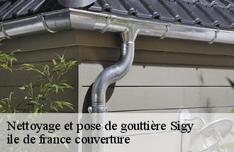 Nettoyage et pose de gouttière  sigy-77520 ile de france couverture