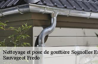 Nettoyage et pose de gouttière  sognolles-en-montois-77520 ile de france couverture