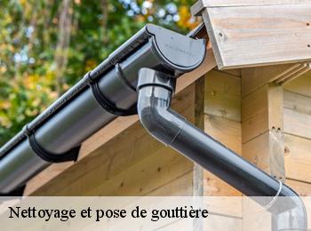 Nettoyage et pose de gouttière