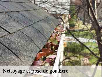 Nettoyage et pose de gouttière