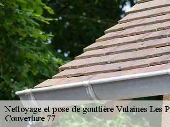 Nettoyage et pose de gouttière  vulaines-les-provins-77160 Couverture 77