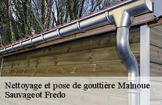 Nettoyage et pose de gouttière  malnoue-77184 Sauvageot Fredo